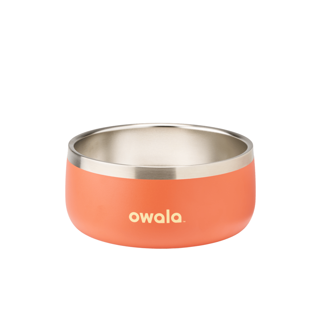 Pet Bowl [2N2W]