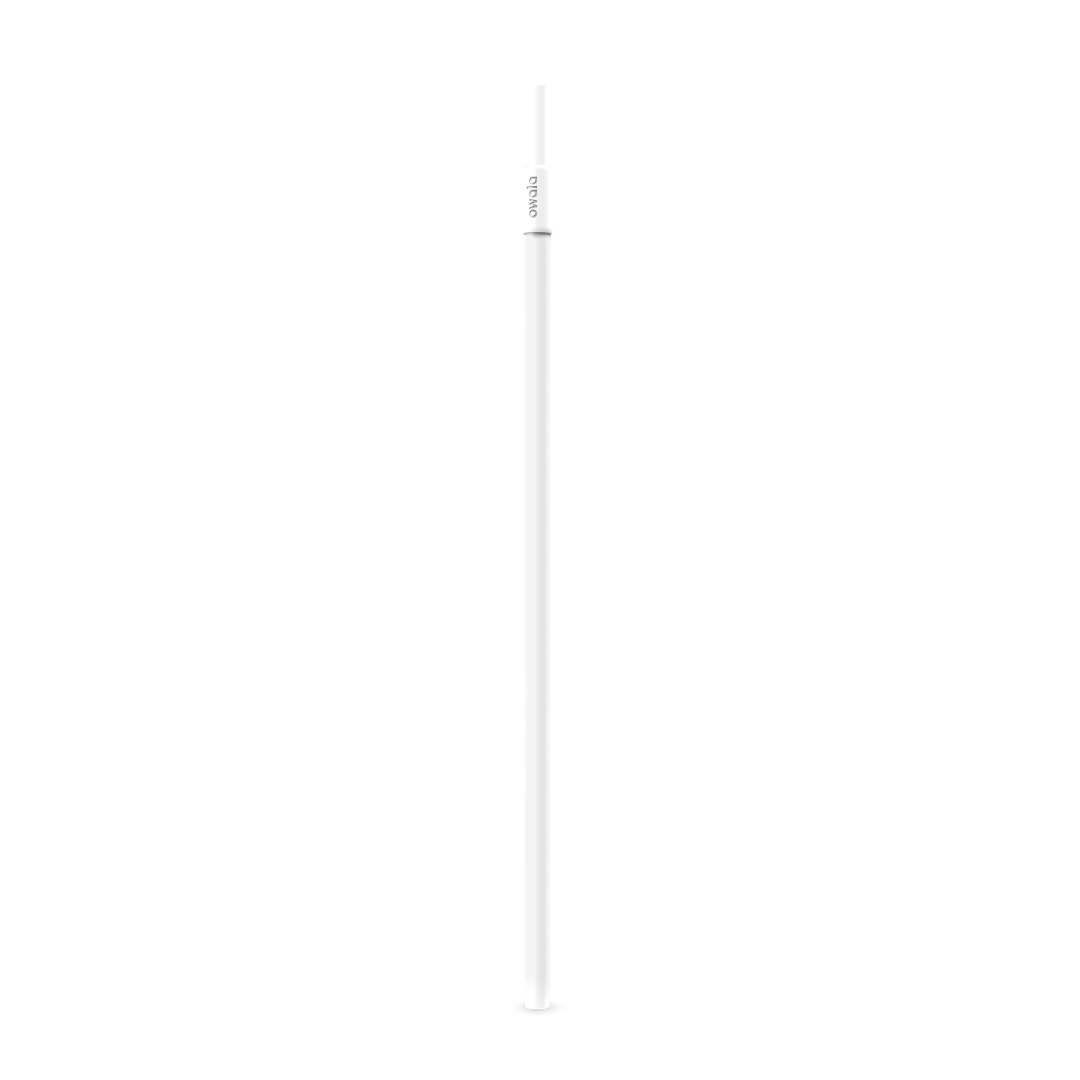 Replacement Straws [LTBL]