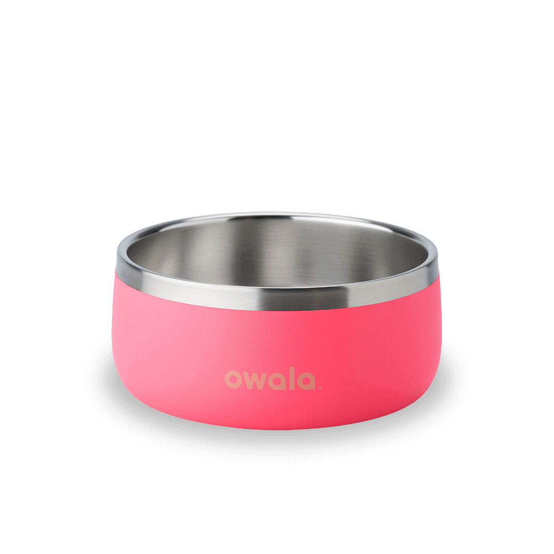 Pet Bowl [2N2W]