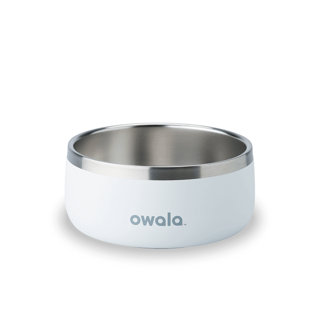 Pet Bowl [2N2W]