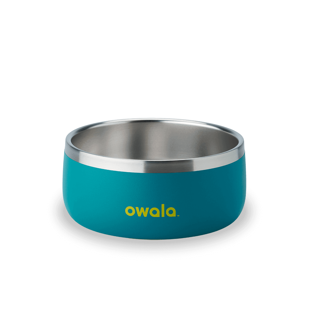 Pet Bowl [2N2W]