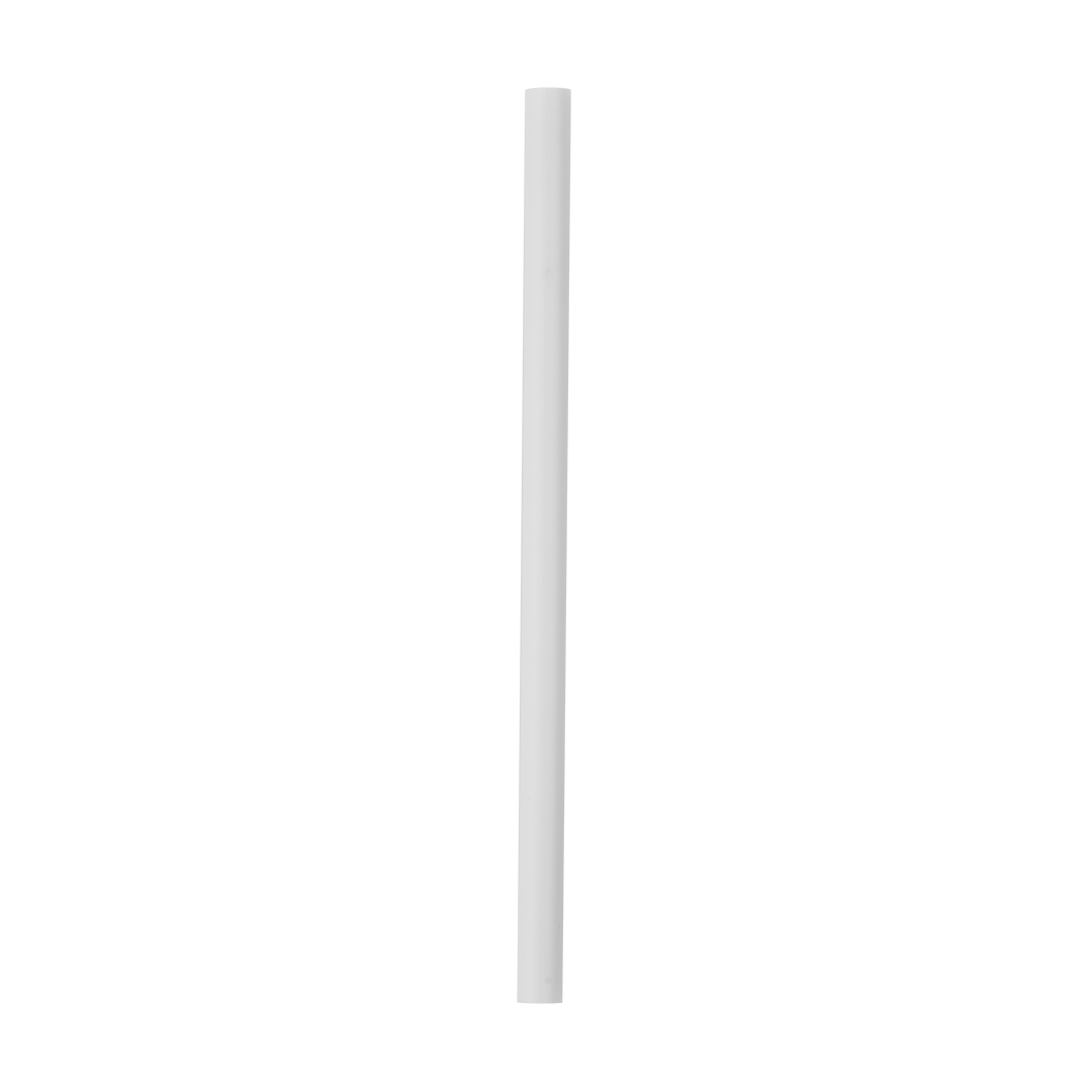 Replacement Straws [LTBL]